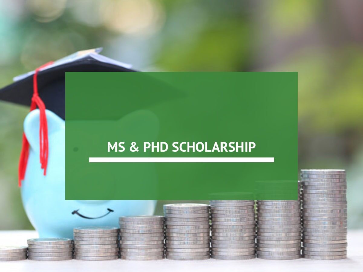 phd law scholarships usa